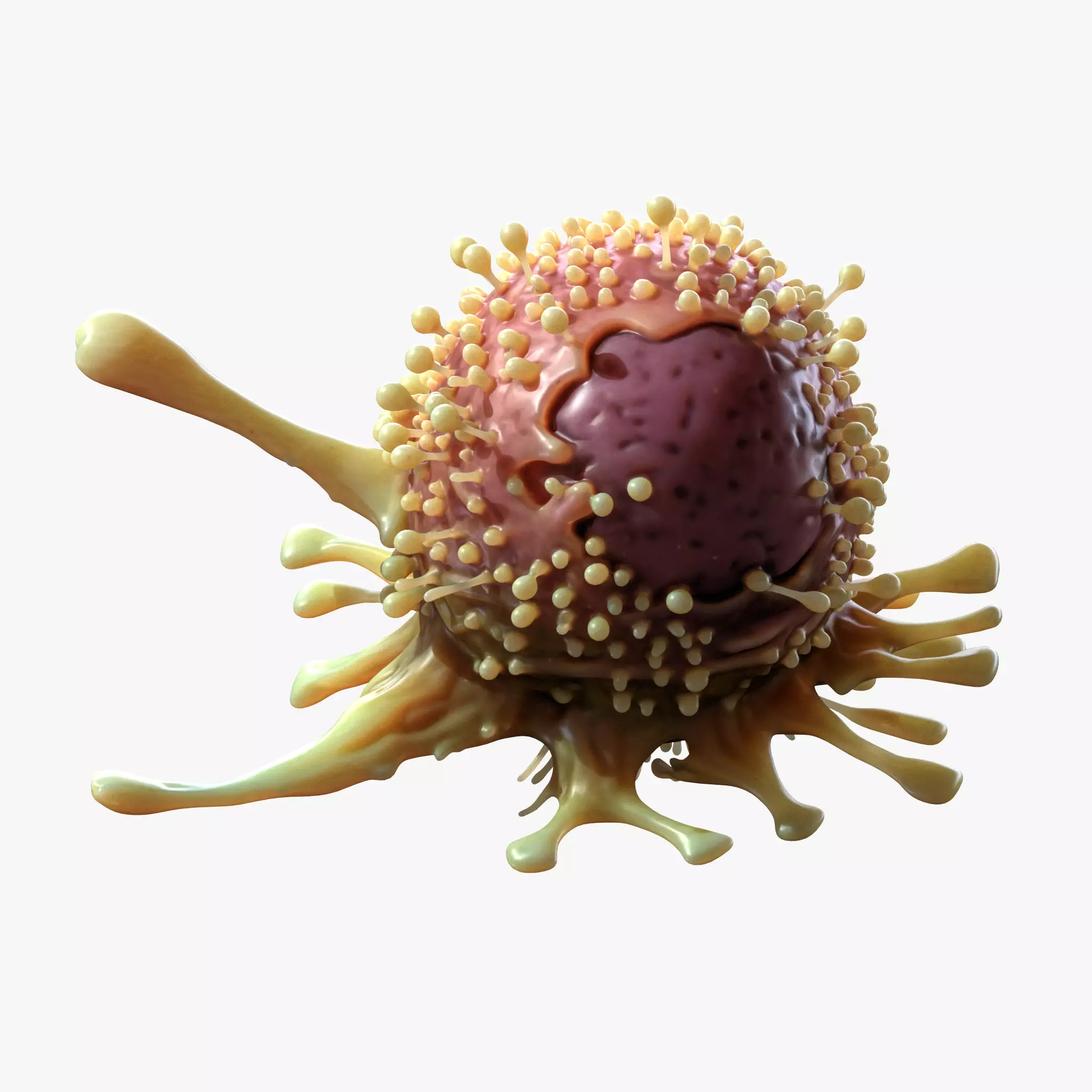  Cancer Cell Tumor 3D model_0