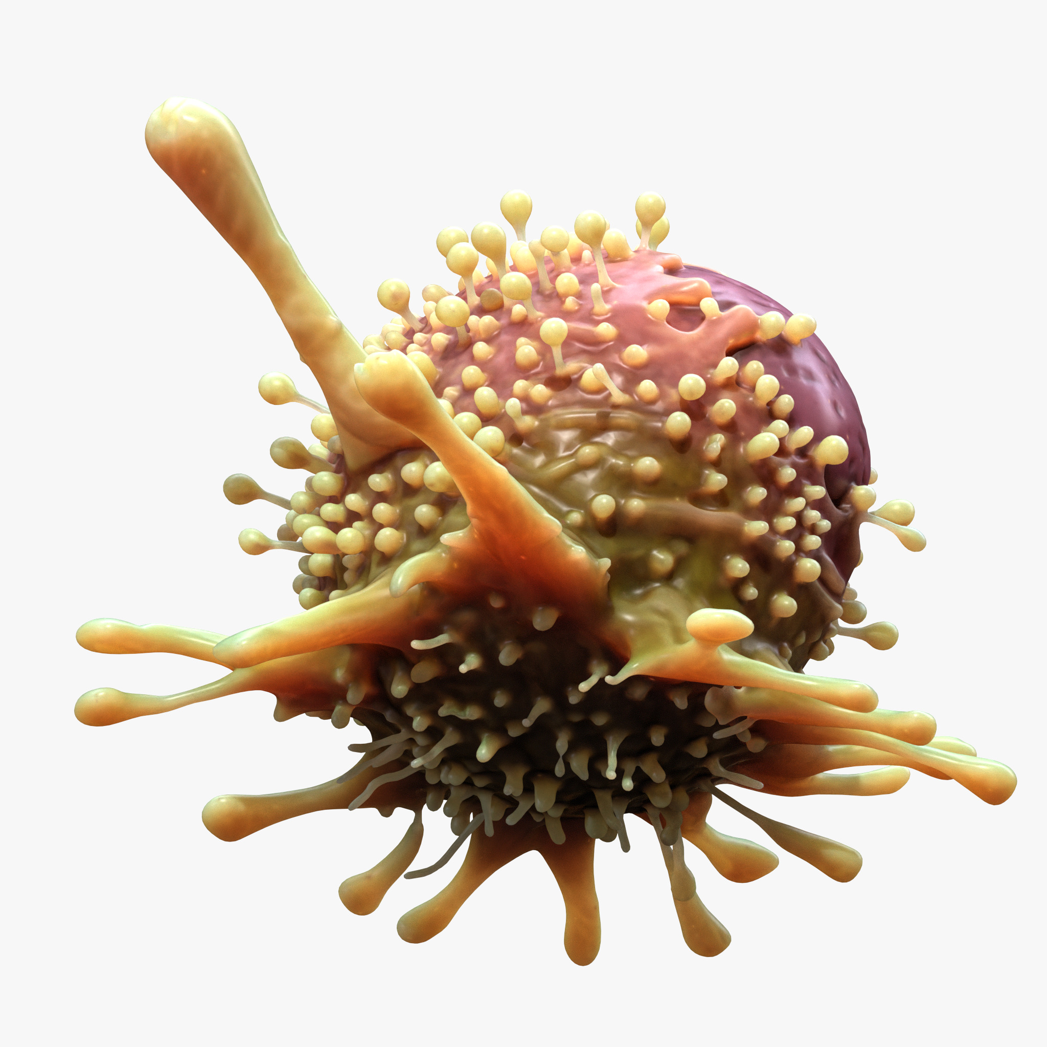  Cancer Cell Tumor 3D model_1