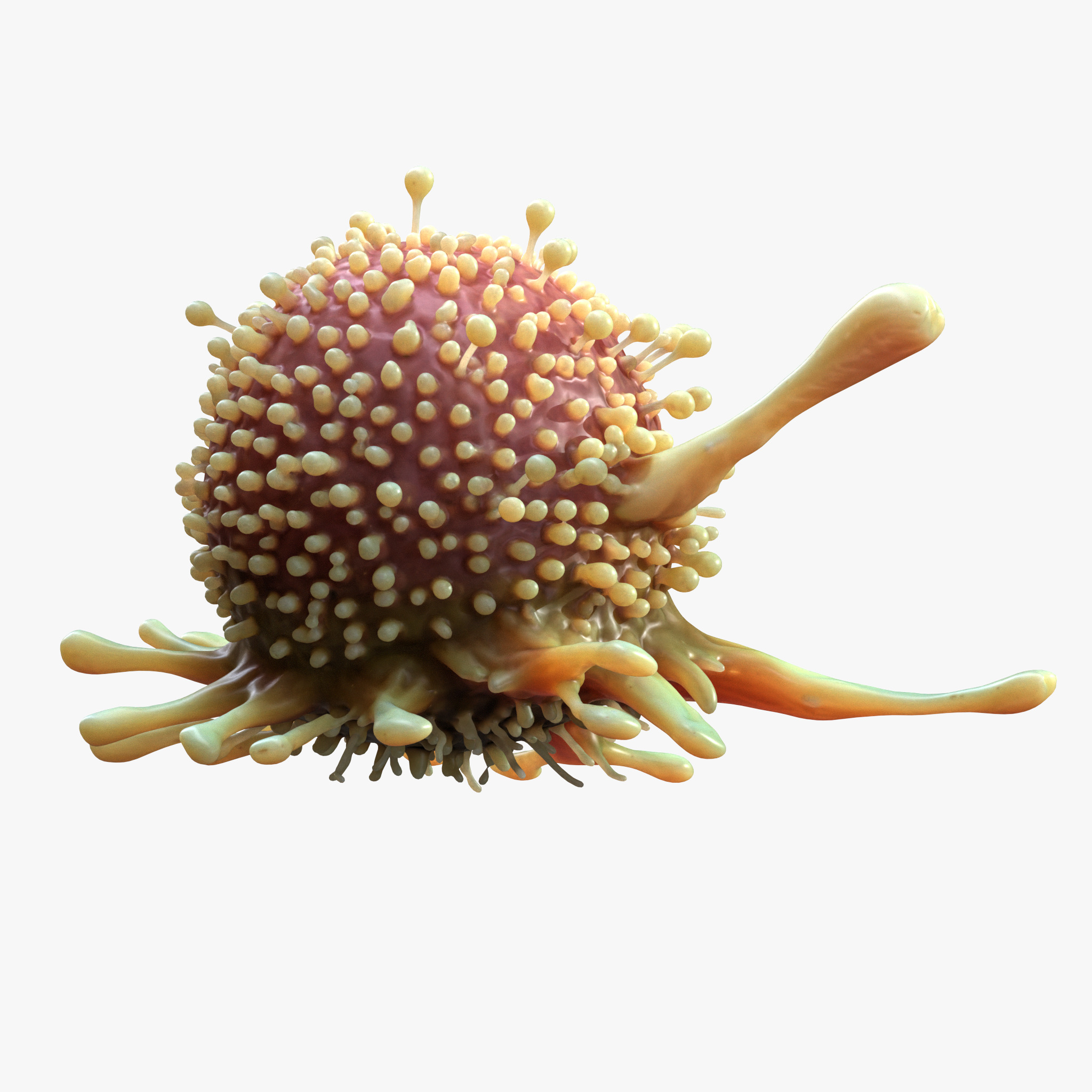  Cancer Cell Tumor 3D model_4