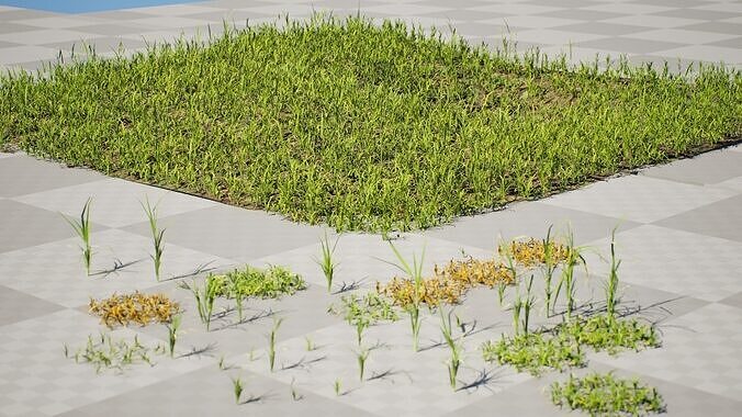 Realistic Grass 3D Pack for Game Environments with Free Tutorial Low-poly 3D model