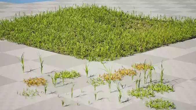 Realistic Grass 3D Pack for Game Environments with Free Tutorial