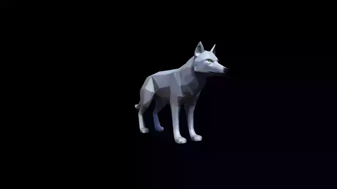 The Wolf Is A Powerful Intelligent Predator 3D model