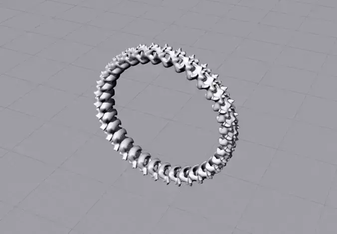 Spine Ring