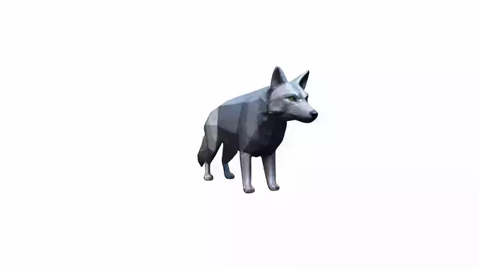 The Wolf Is A Powerful Intelligent Predator