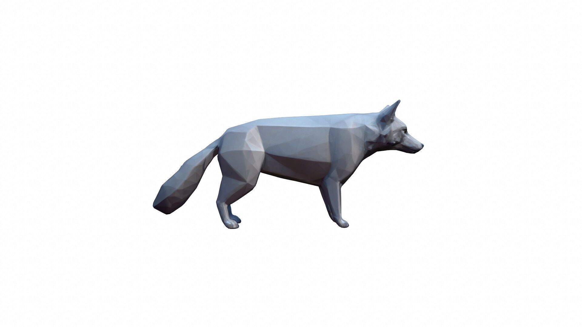 The Wolf Is A Powerful Intelligent Predator 3D model_2