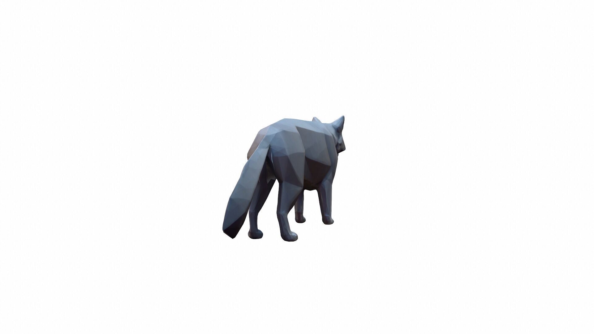 The Wolf Is A Powerful Intelligent Predator 3D model_4