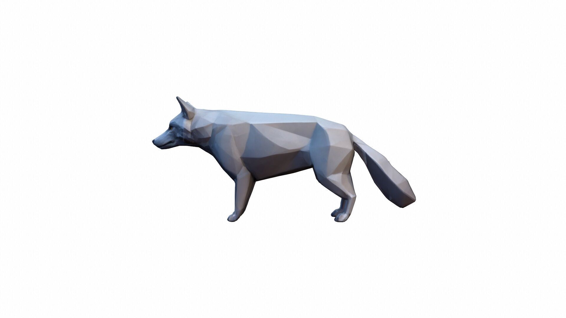 The Wolf Is A Powerful Intelligent Predator 3D model_7