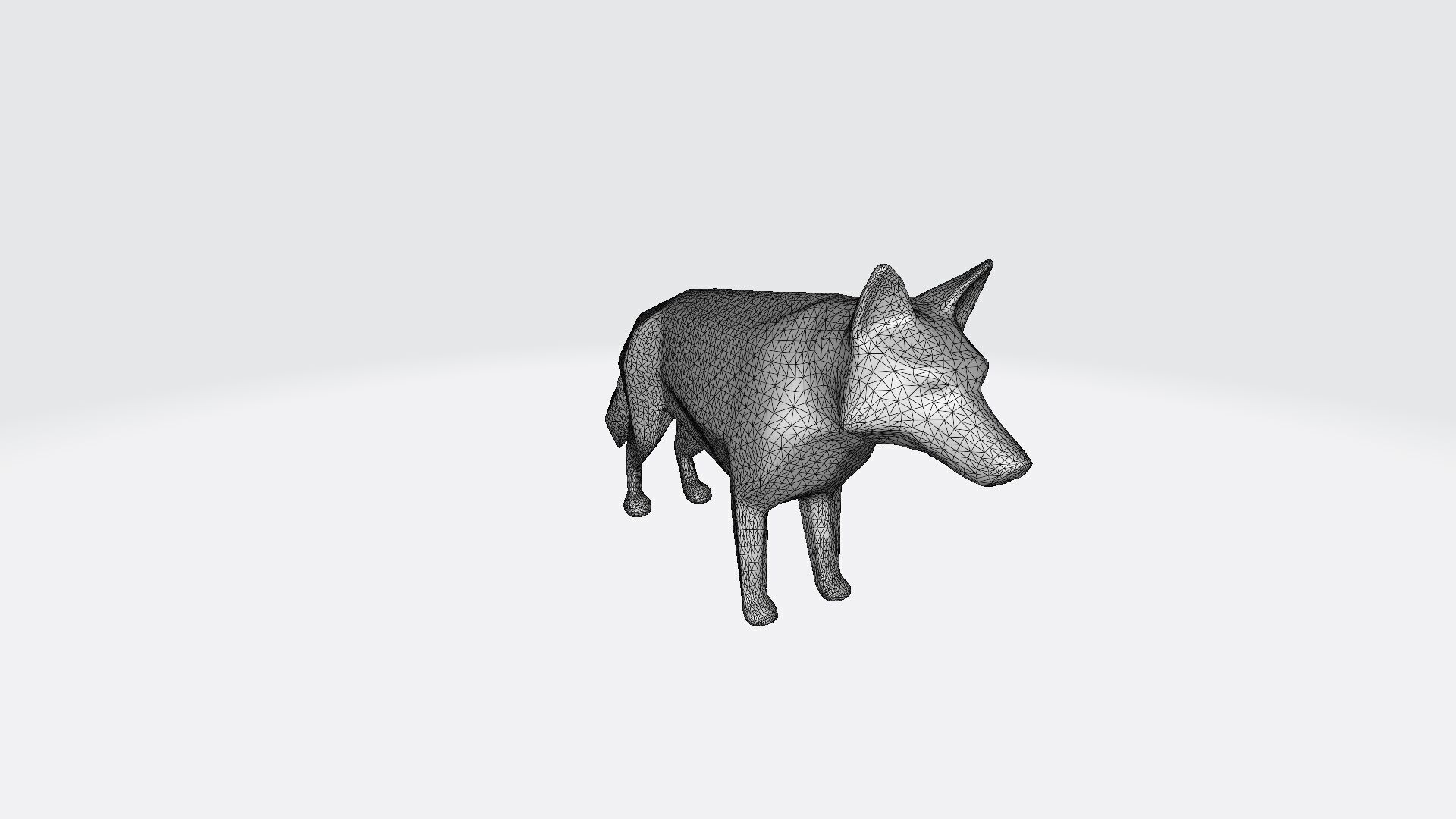 The Wolf Is A Powerful Intelligent Predator 3D model_9