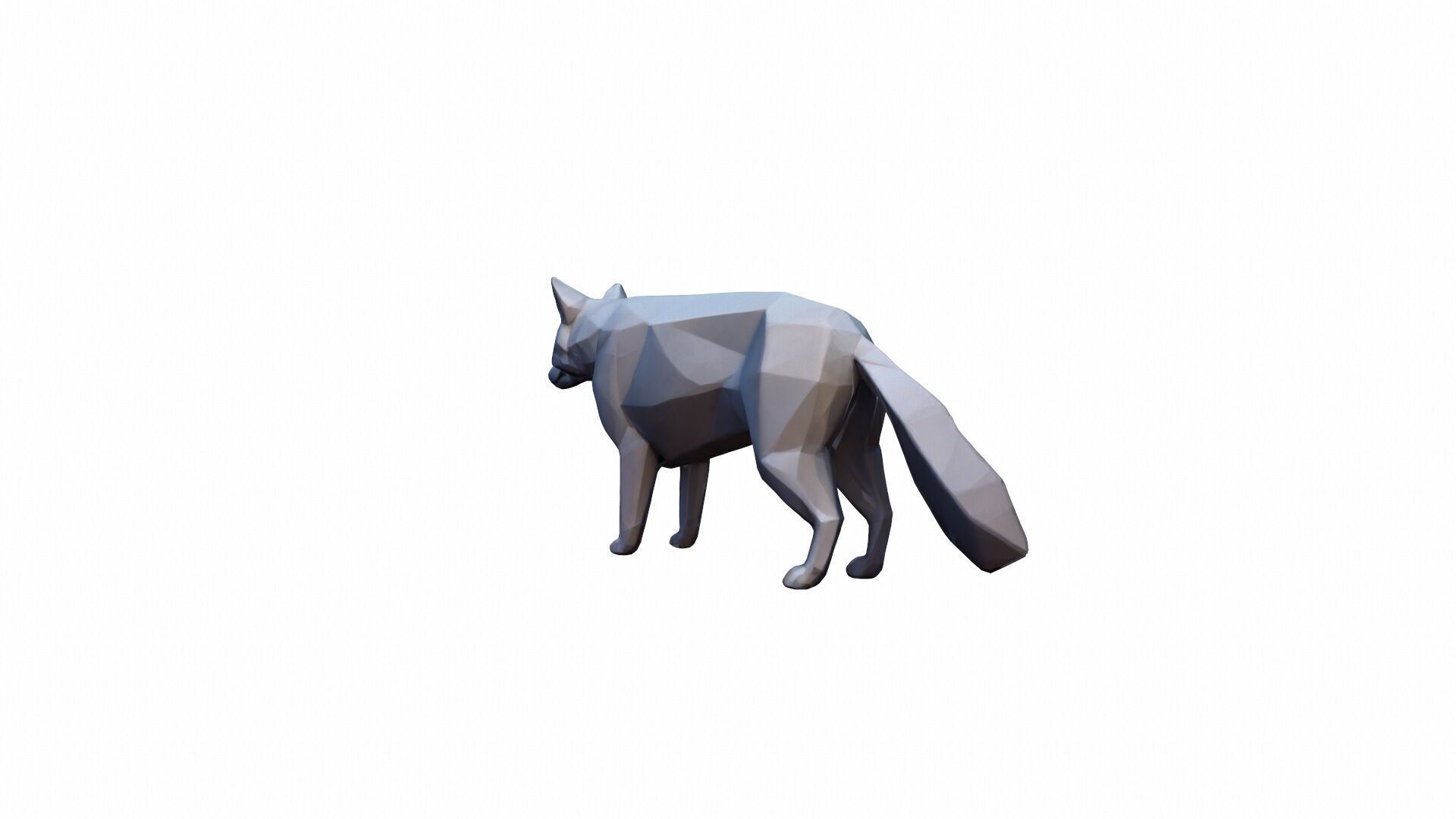 The Wolf Is A Powerful Intelligent Predator 3D model_5