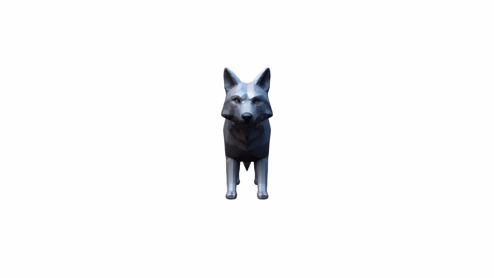 The Wolf Is A Powerful Intelligent Predator 3D model_3