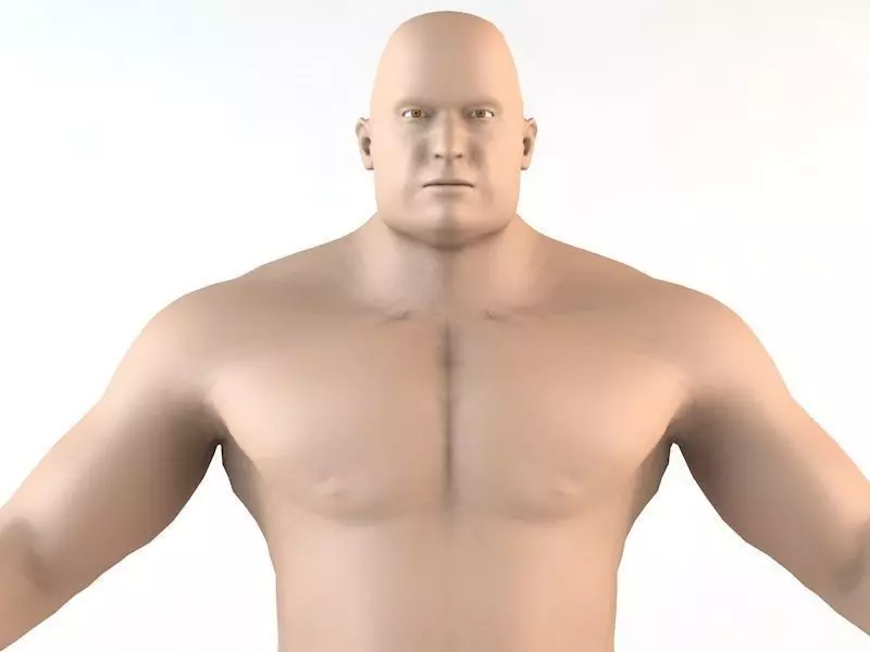 The Giant Human Character Low-poly 3D model