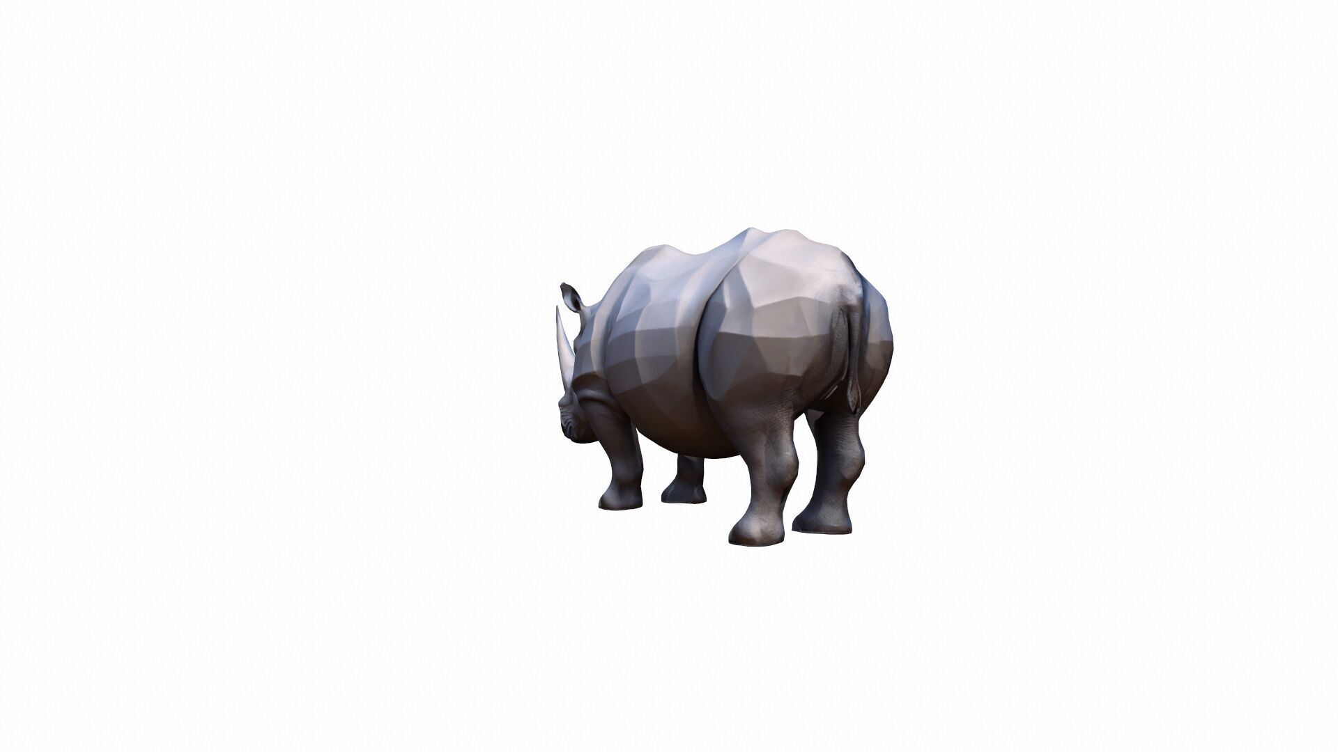 Lone Rhino In The Savanah 3d Model 3D model_6