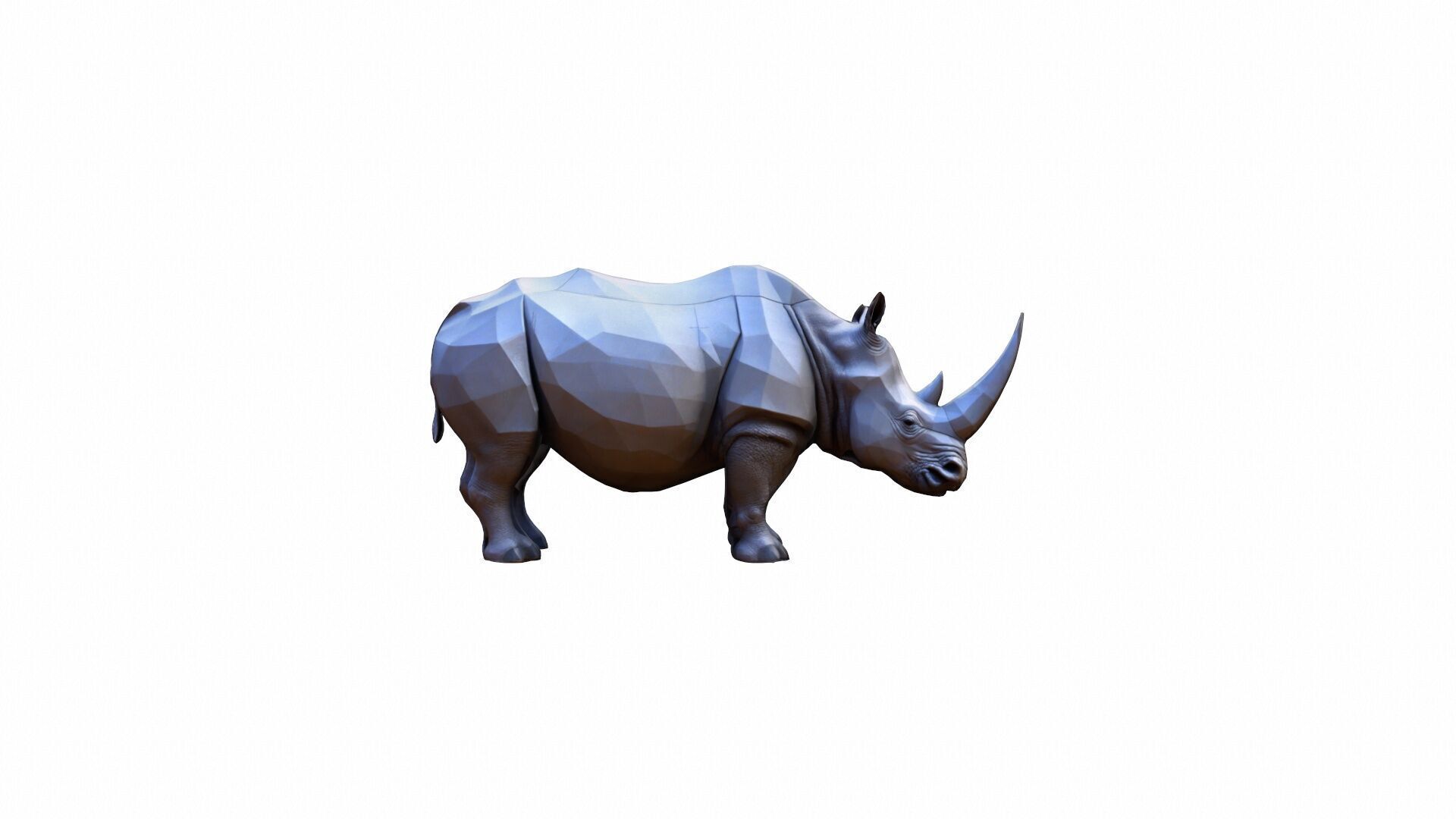 Lone Rhino In The Savanah 3d Model 3D model_3