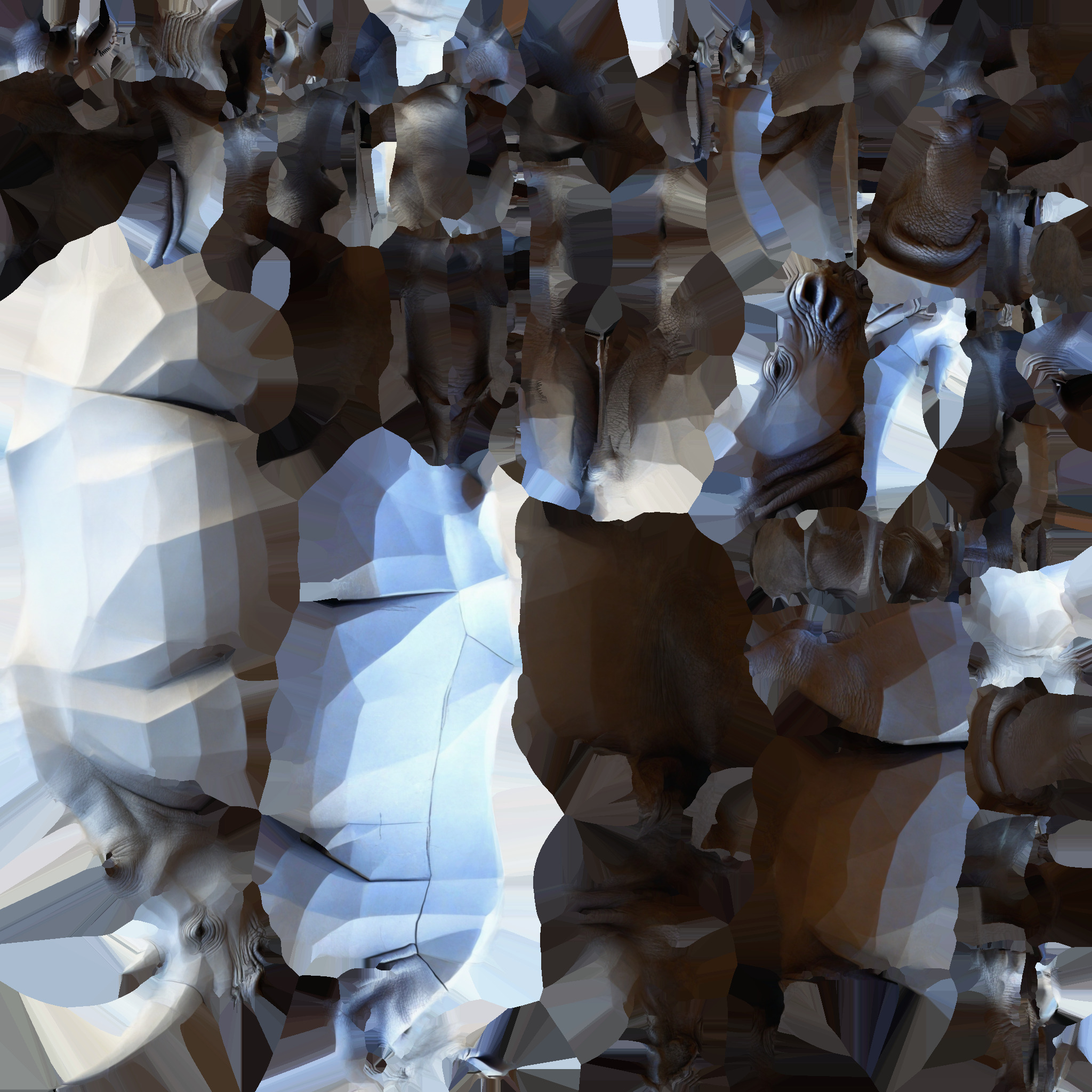 Lone Rhino In The Savanah 3d Model 3D model_10