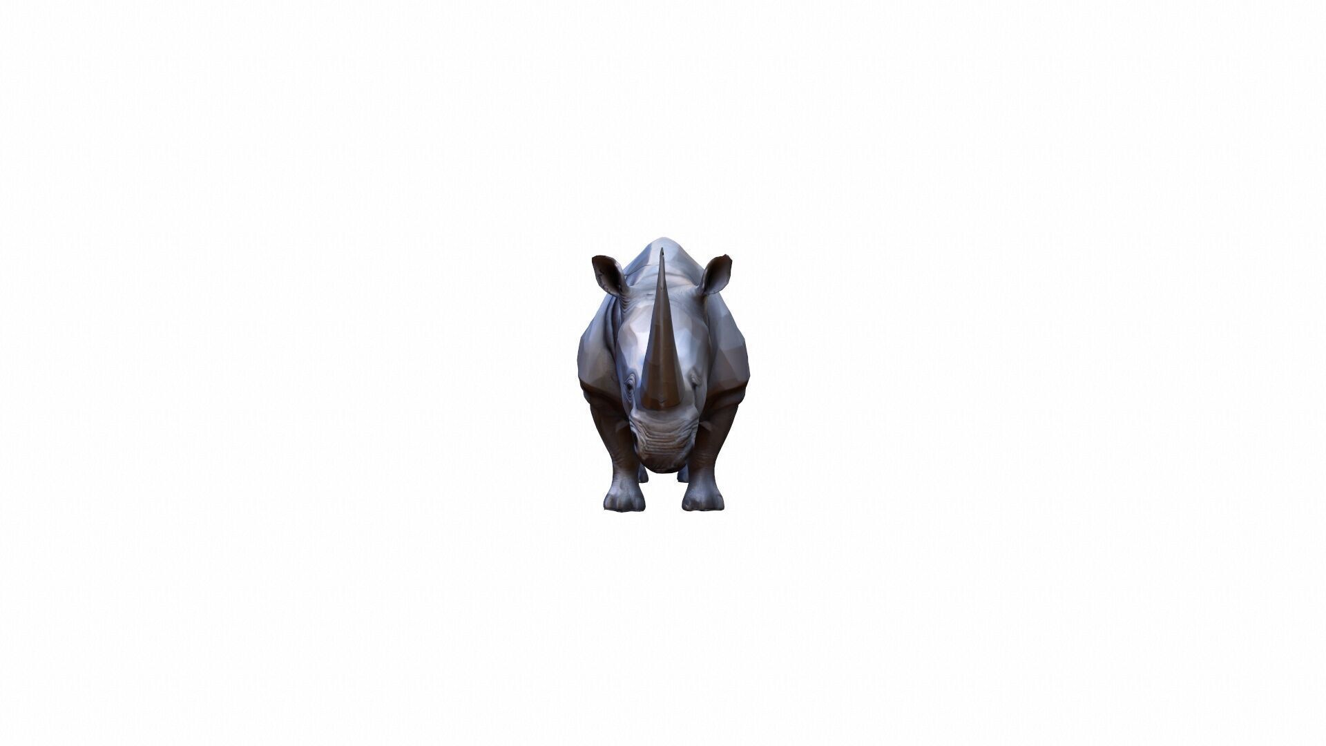 Lone Rhino In The Savanah 3d Model 3D model_7