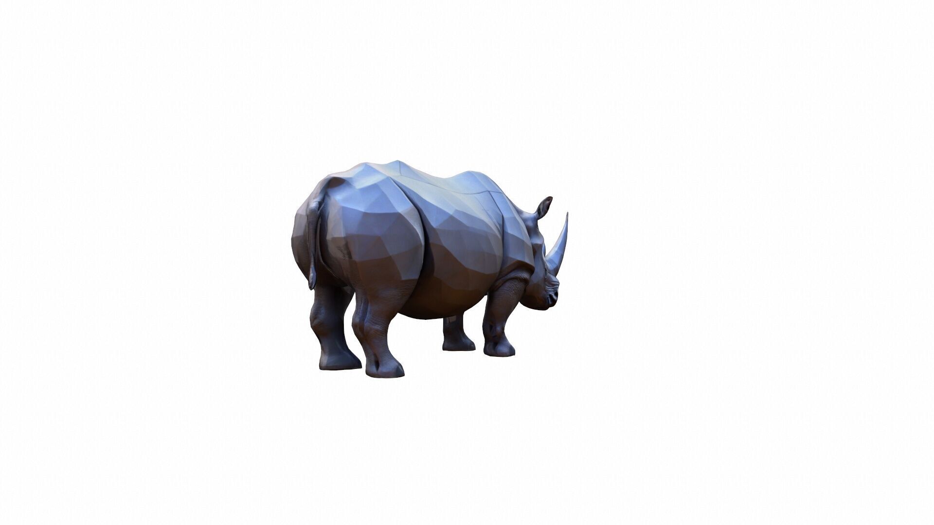 Lone Rhino In The Savanah 3d Model 3D model_4