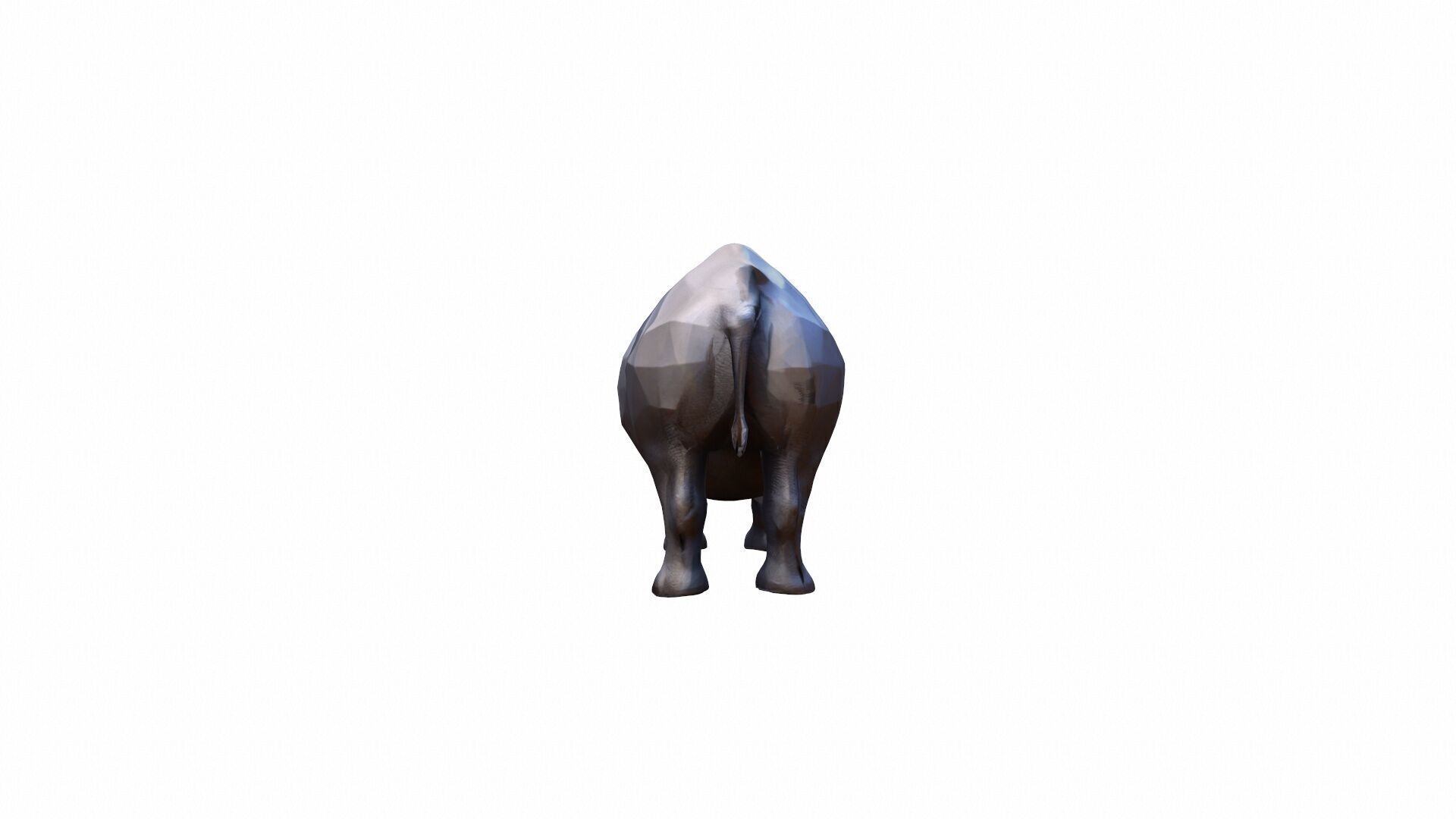 Lone Rhino In The Savanah 3d Model 3D model_5