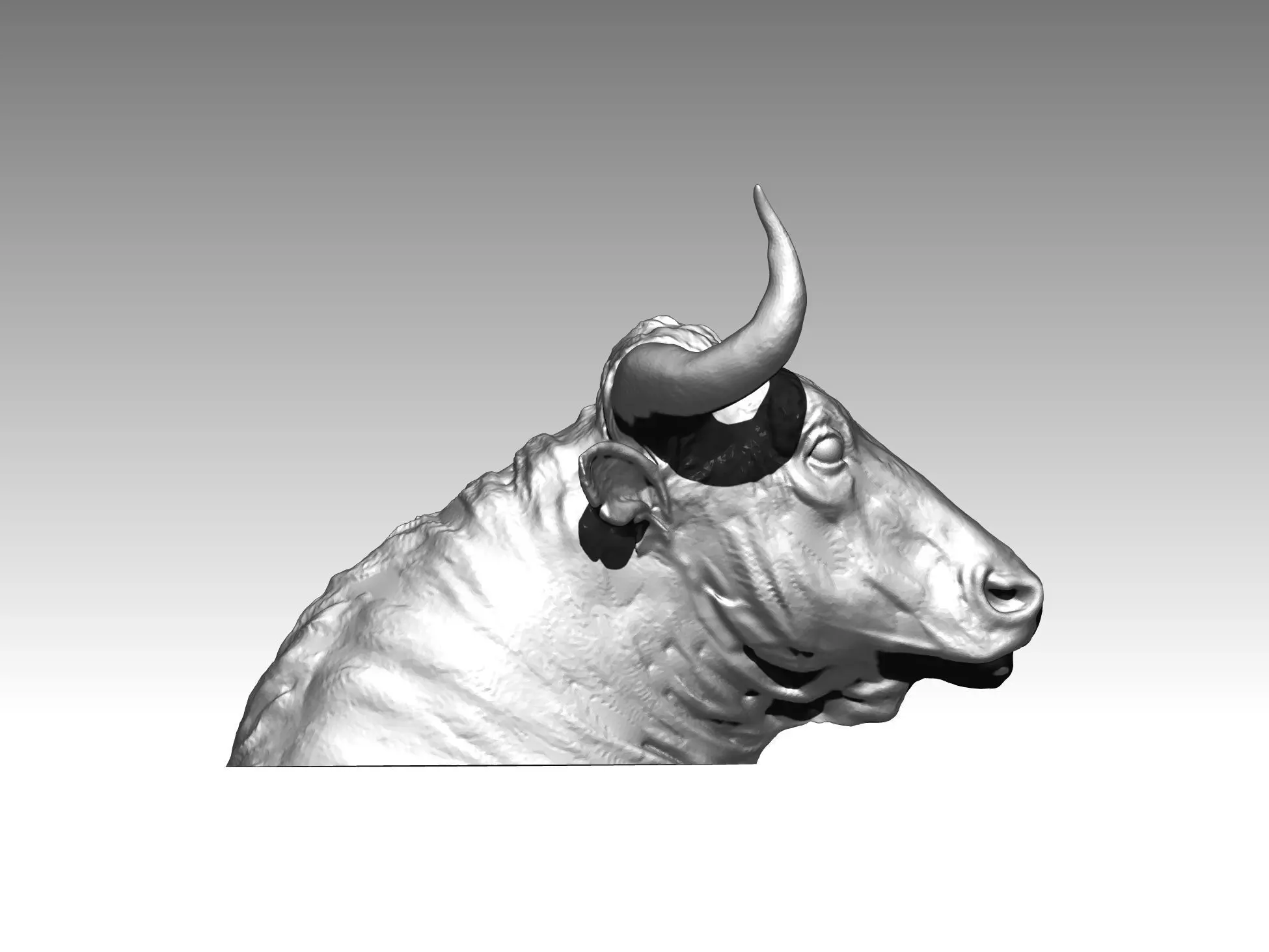 bull head animal 3D print model_0