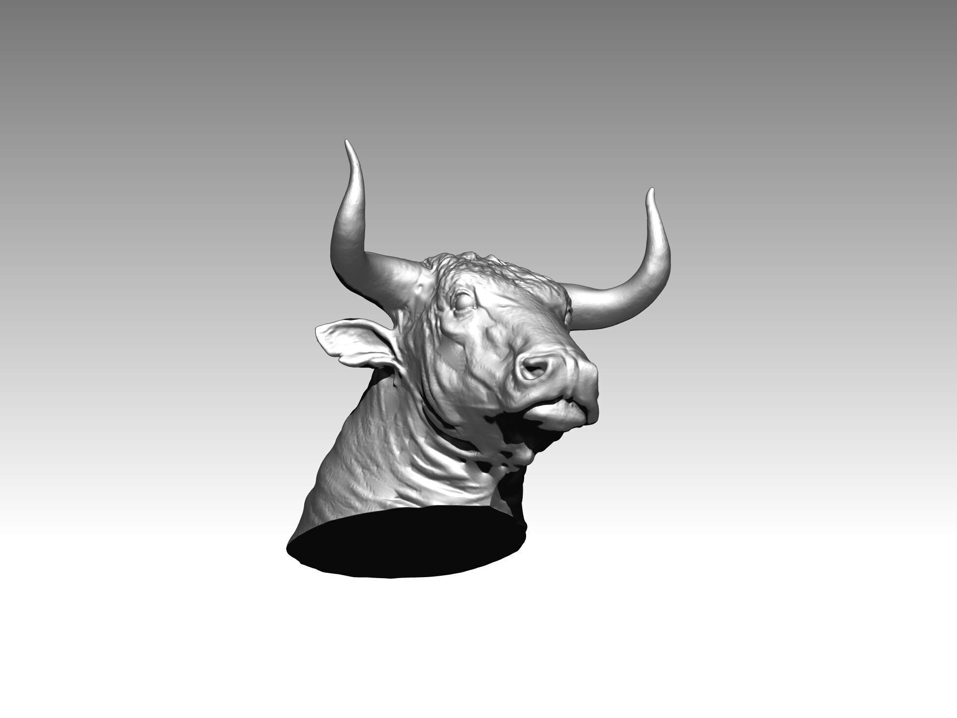 bull head animal 3D print model_3