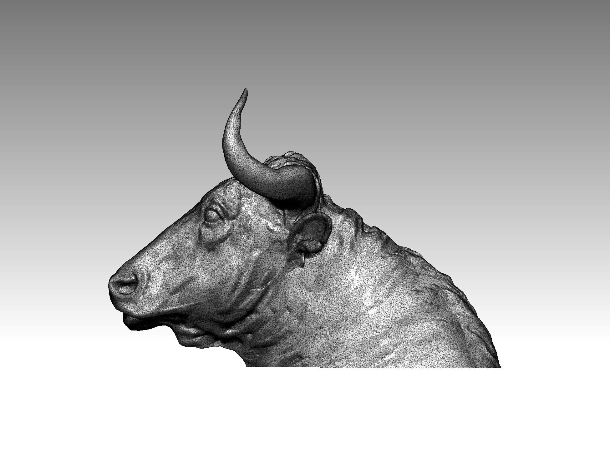 bull head animal 3D print model_6