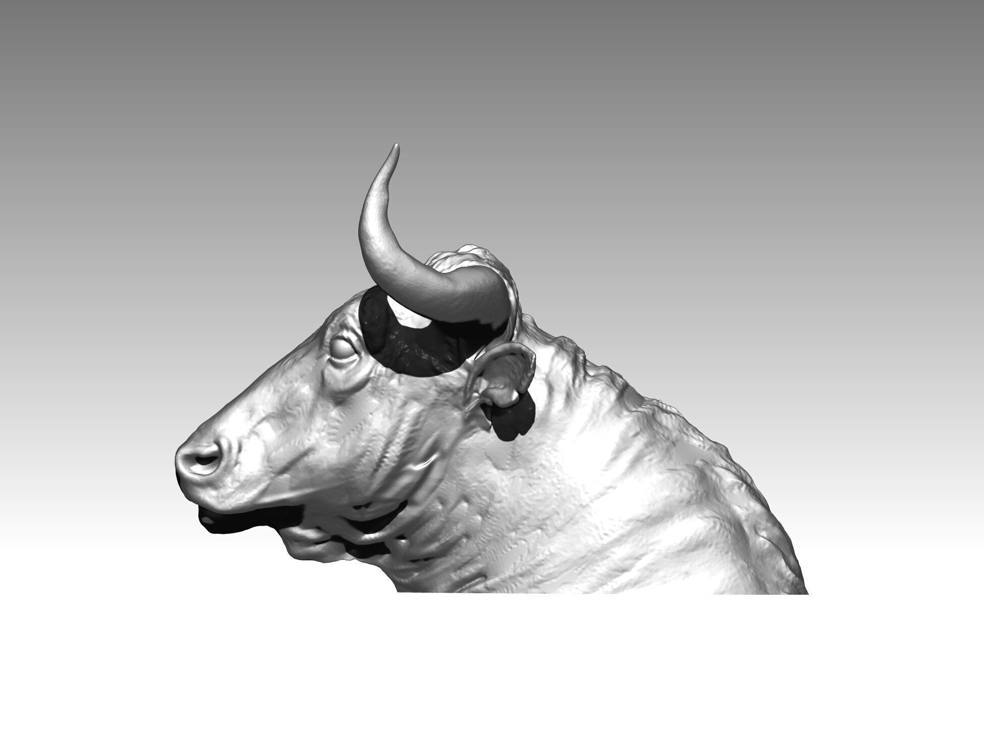 bull head animal 3D print model_2
