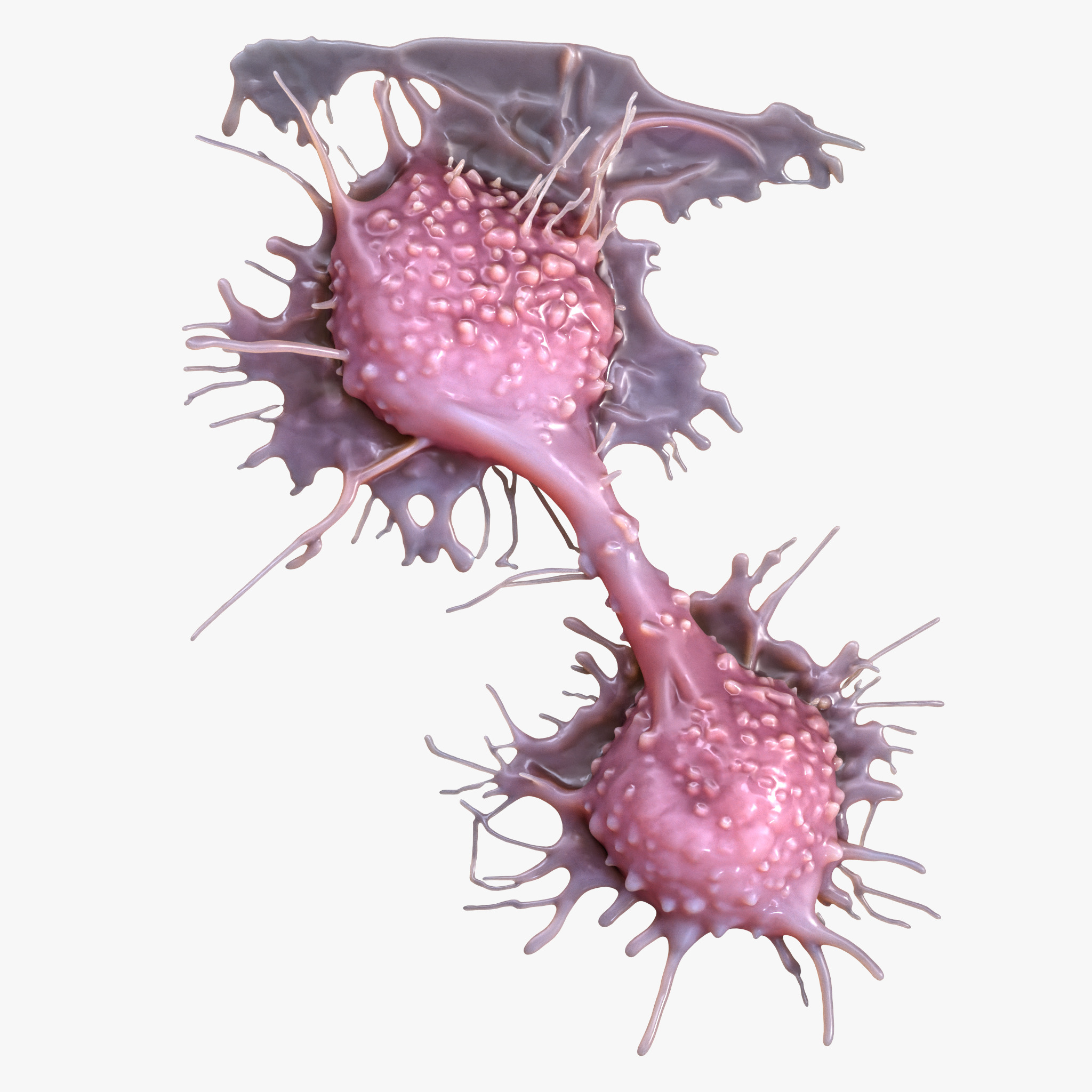 Cancer Cell Tumor 3D model_5