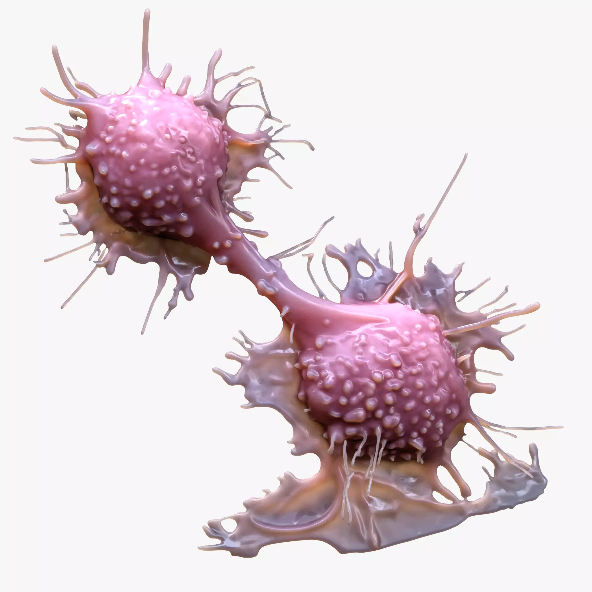 Cancer Cell Tumor 3D model_0