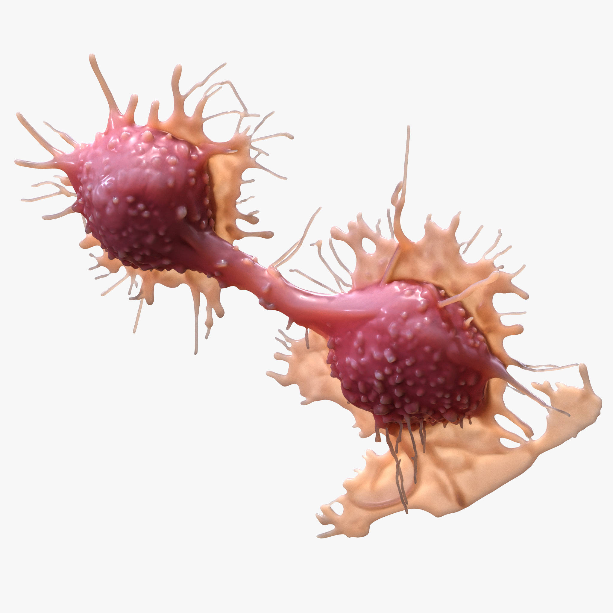 Cancer Cell Tumor 3D model_3