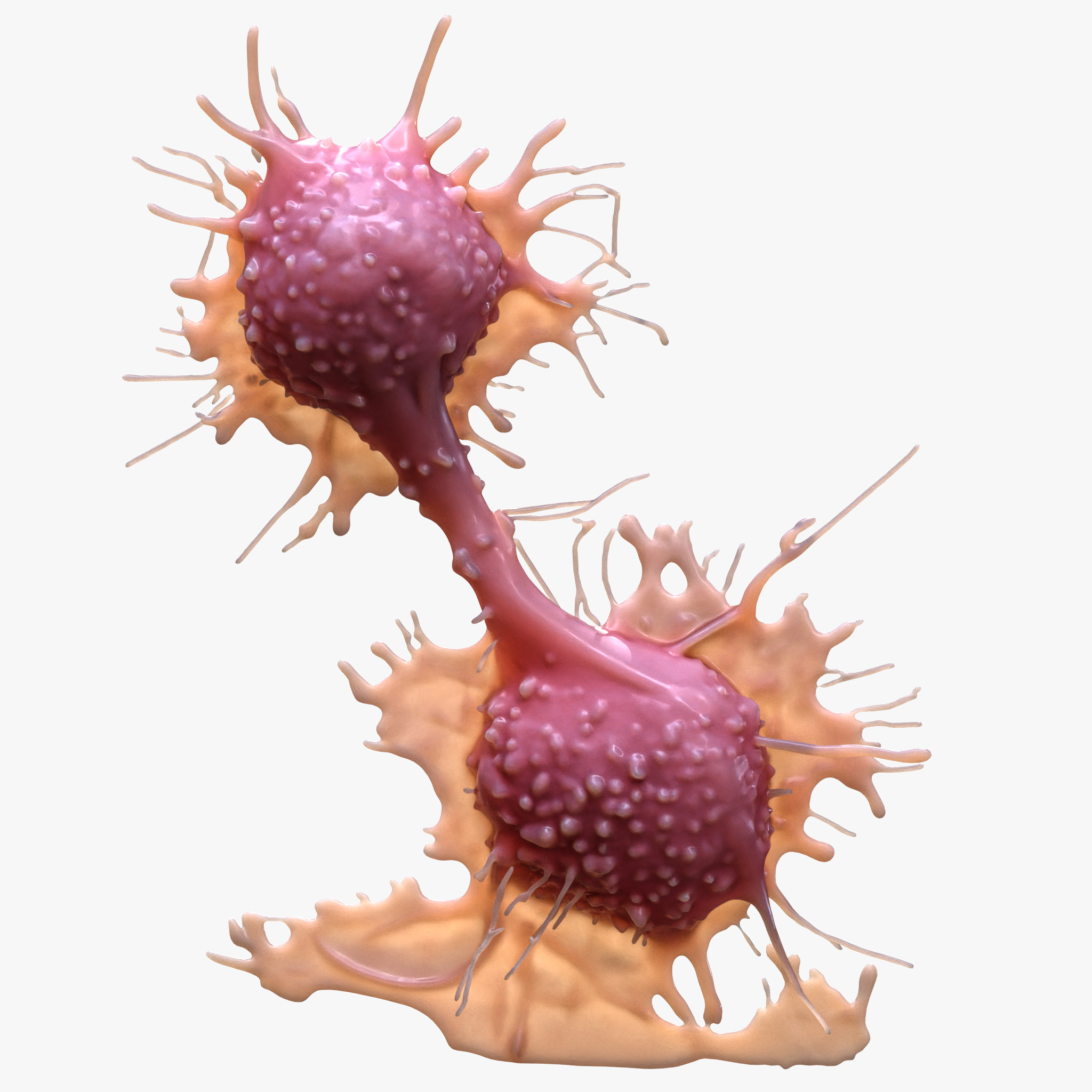 Cancer Cell Tumor 3D model_4