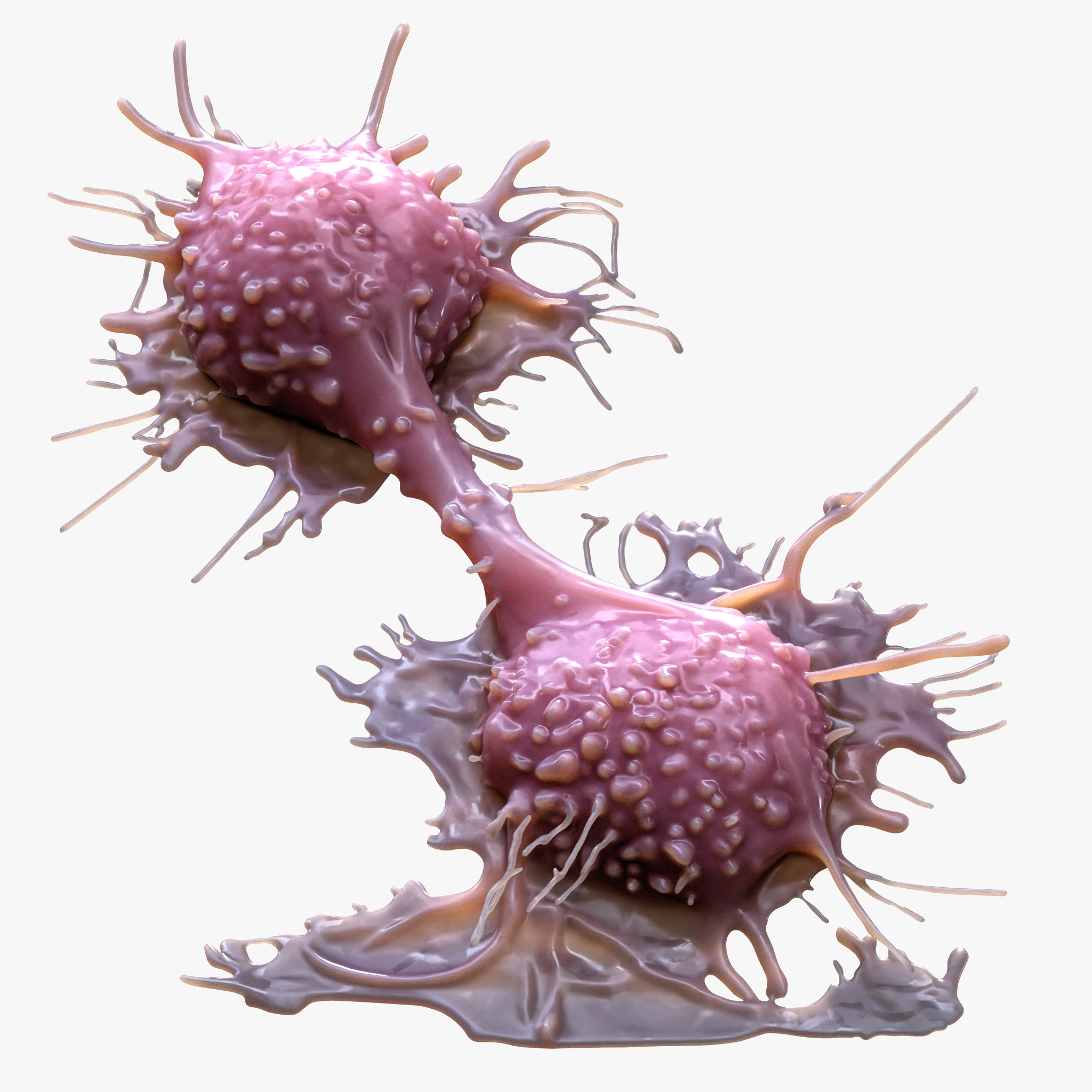 Cancer Cell Tumor 3D model_2