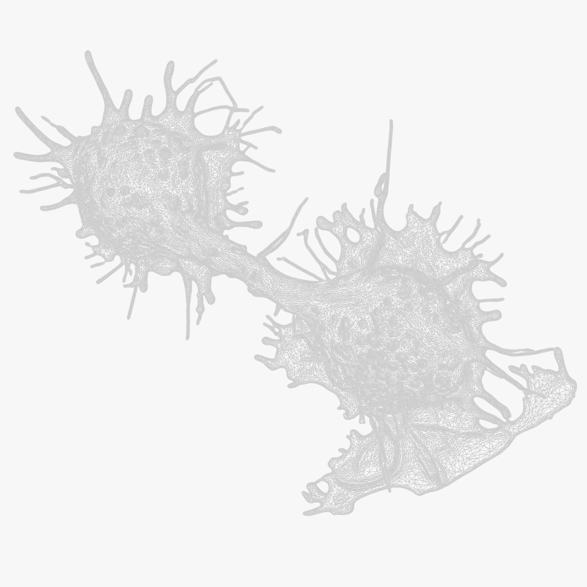 Cancer Cell Tumor 3D model_8