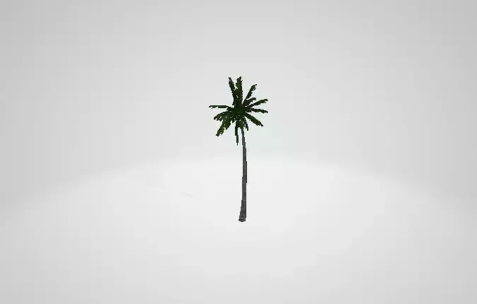 3D Tree Model