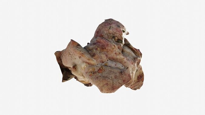 Scanned shashlik BBQ Meat on stick Low-poly 3D model 5