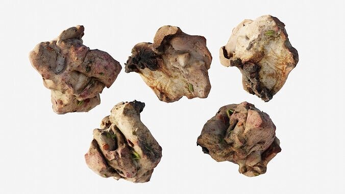 Scanned shashlik BBQ Meat on stick Low-poly 3D model 7