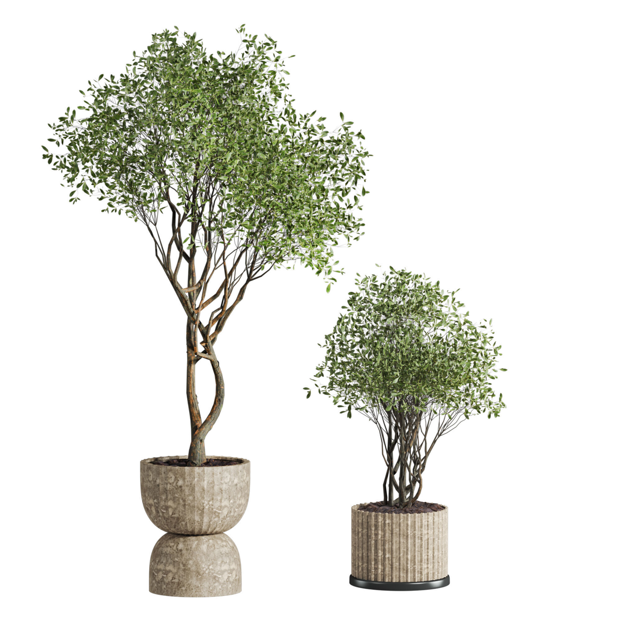 tree plants set 3D model_1