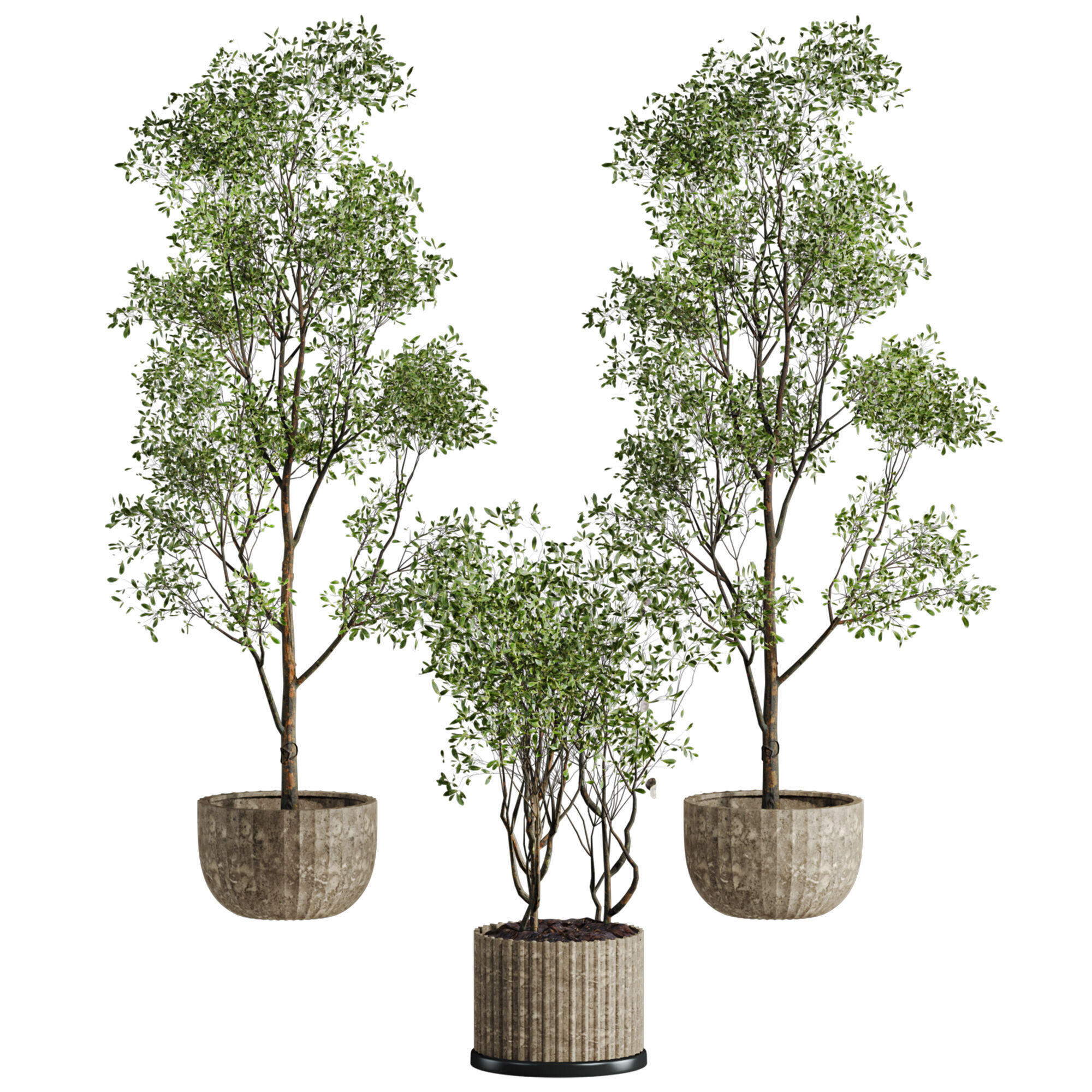 tree plants set 3D model_2