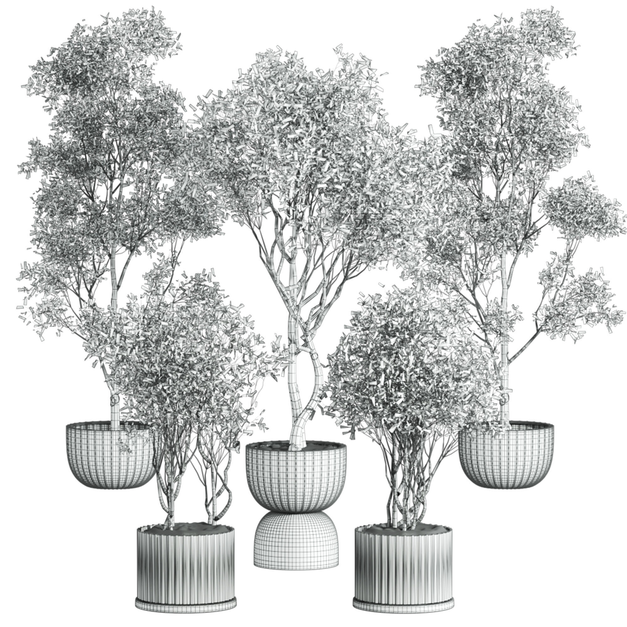 tree plants set 3D model_3