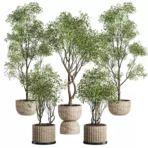 tree plants set