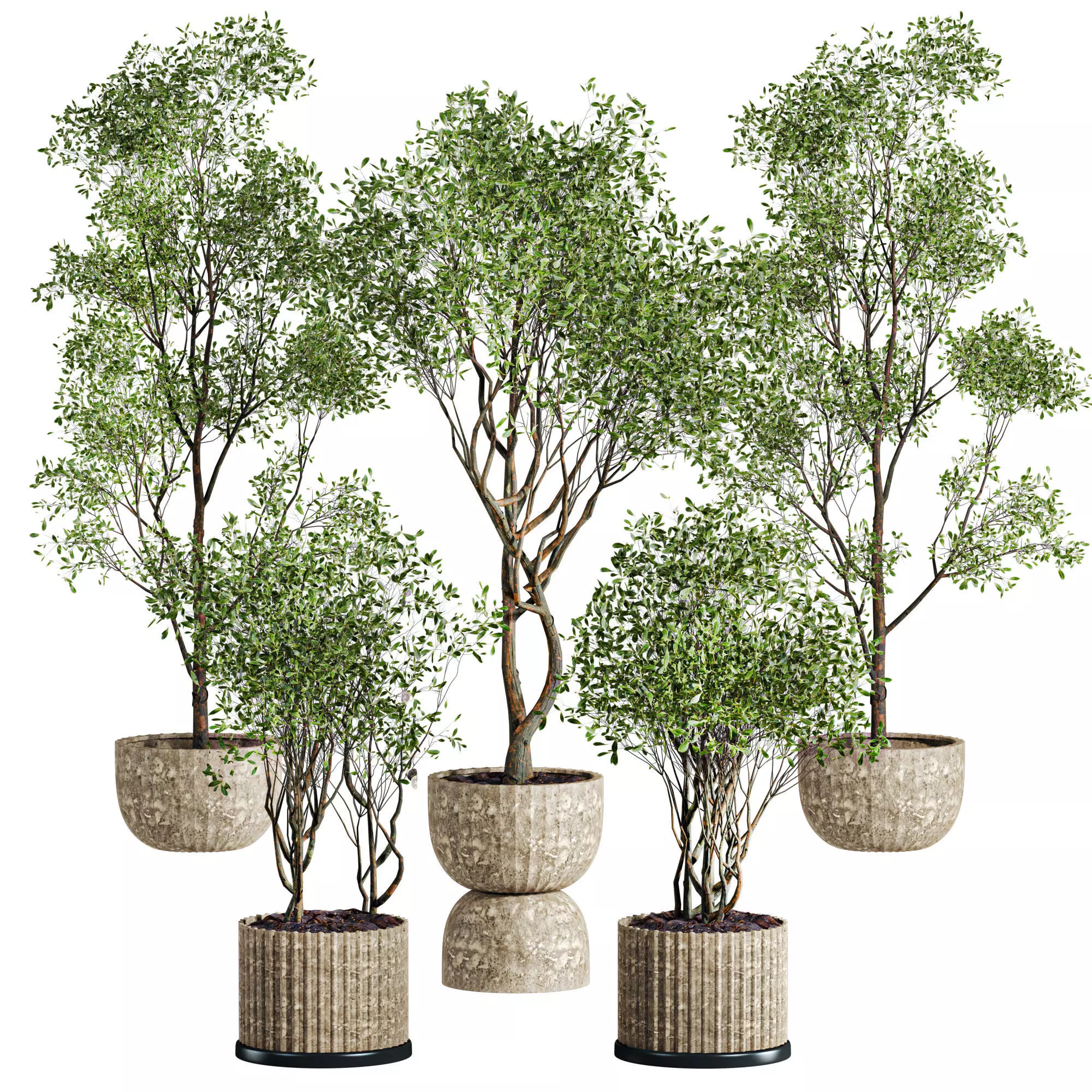 tree plants set 3D model_0