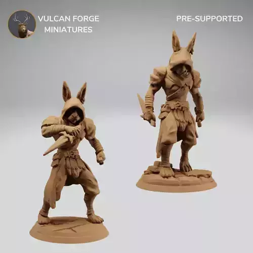 Harengon Rabbit Folk Rogue Assassin Bundle 3D print model