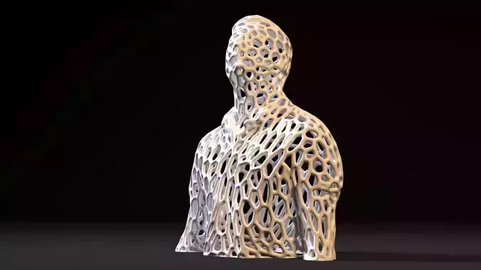 Torso Voronoi 3D print model