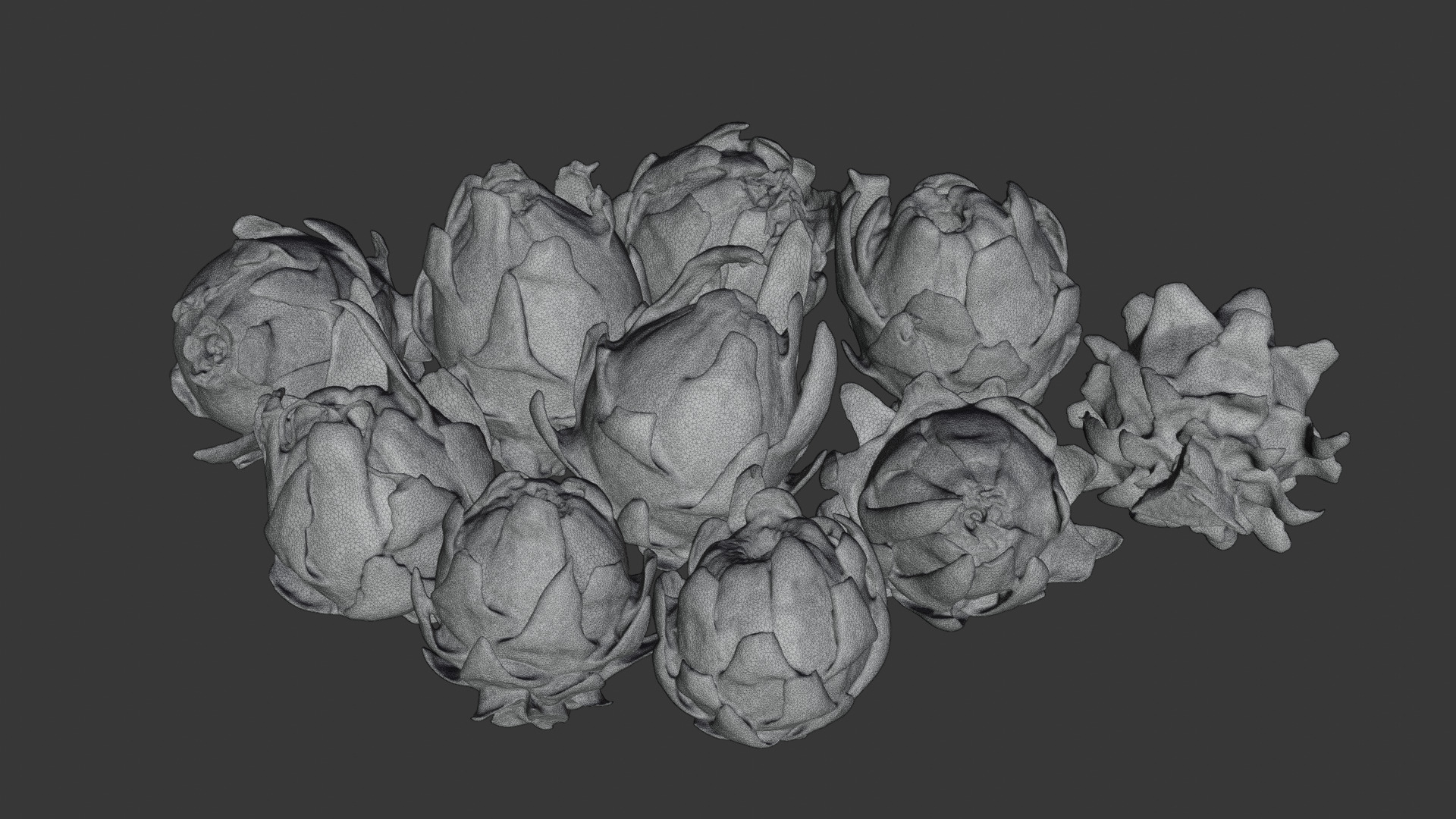 Dragon Fruit Pack 3D model_1