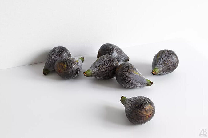 Fig   3D model