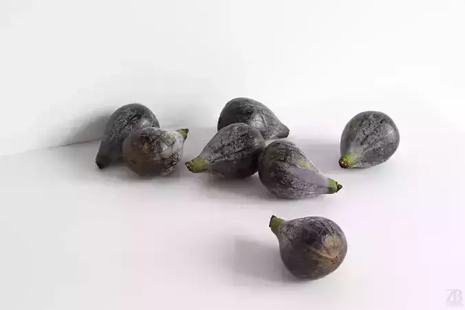 Fig  