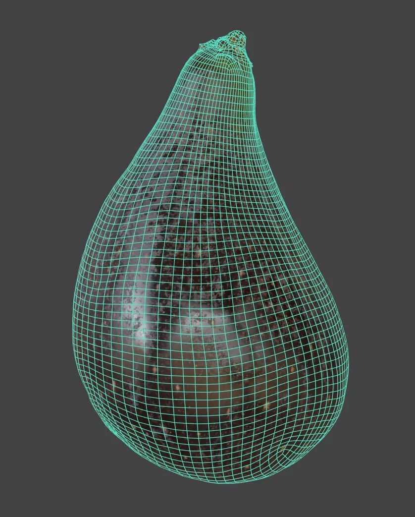 Fig   3D model_6