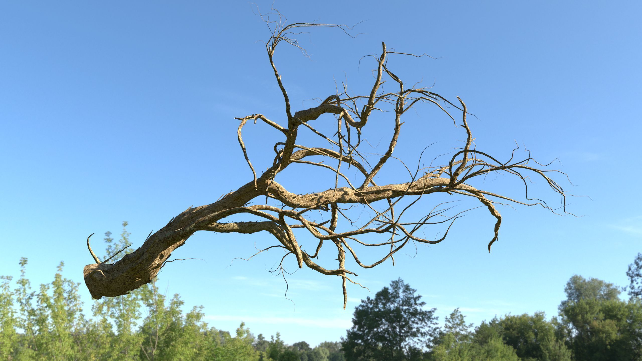 Lowpoly Dead Tree 01 3D model_1