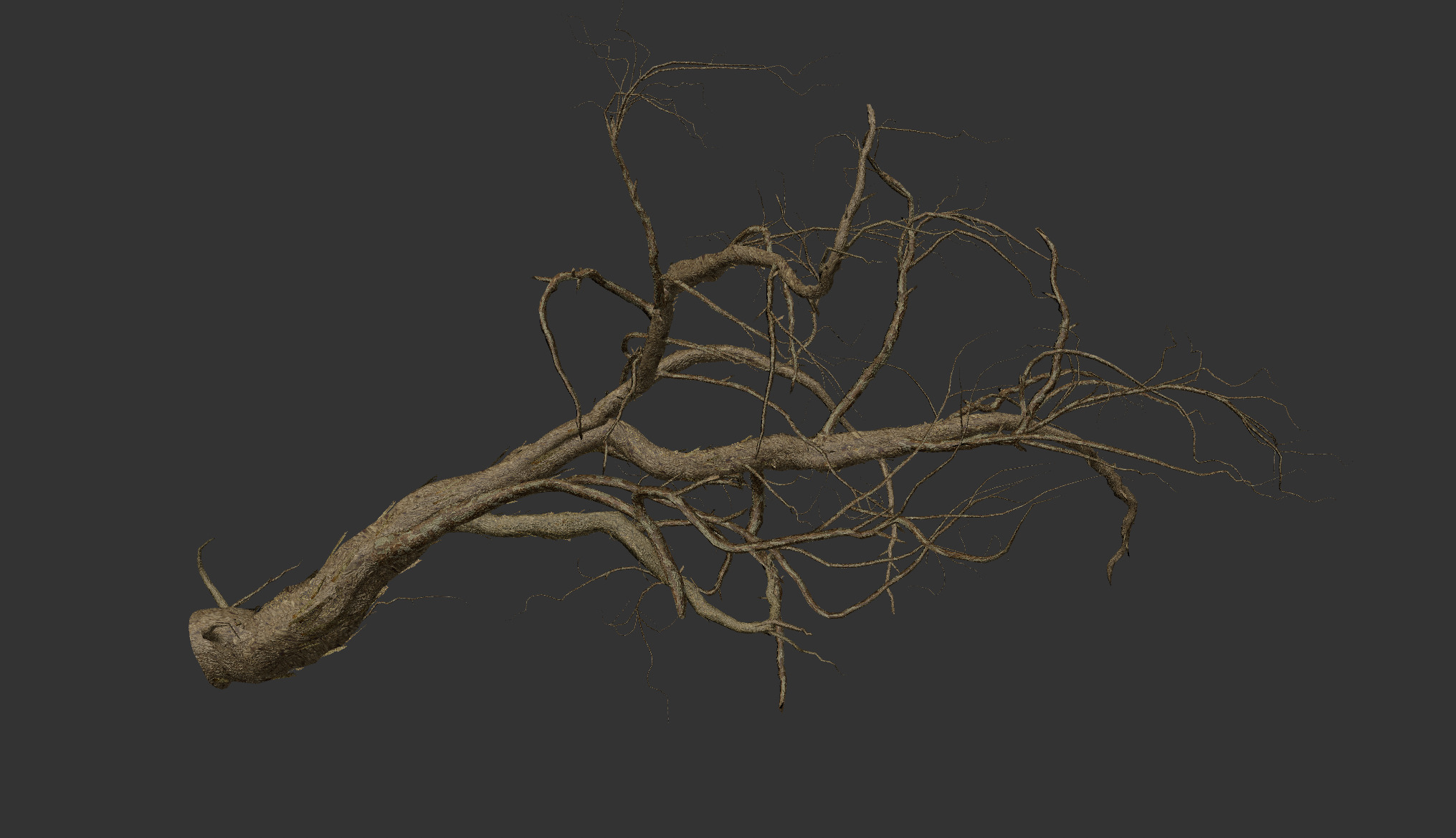 Lowpoly Dead Tree 01 3D model_2