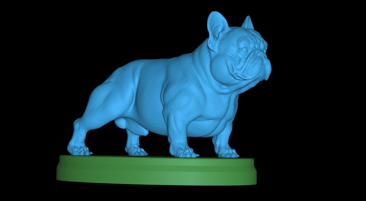 French Bulldog Exotic 3D print model_10
