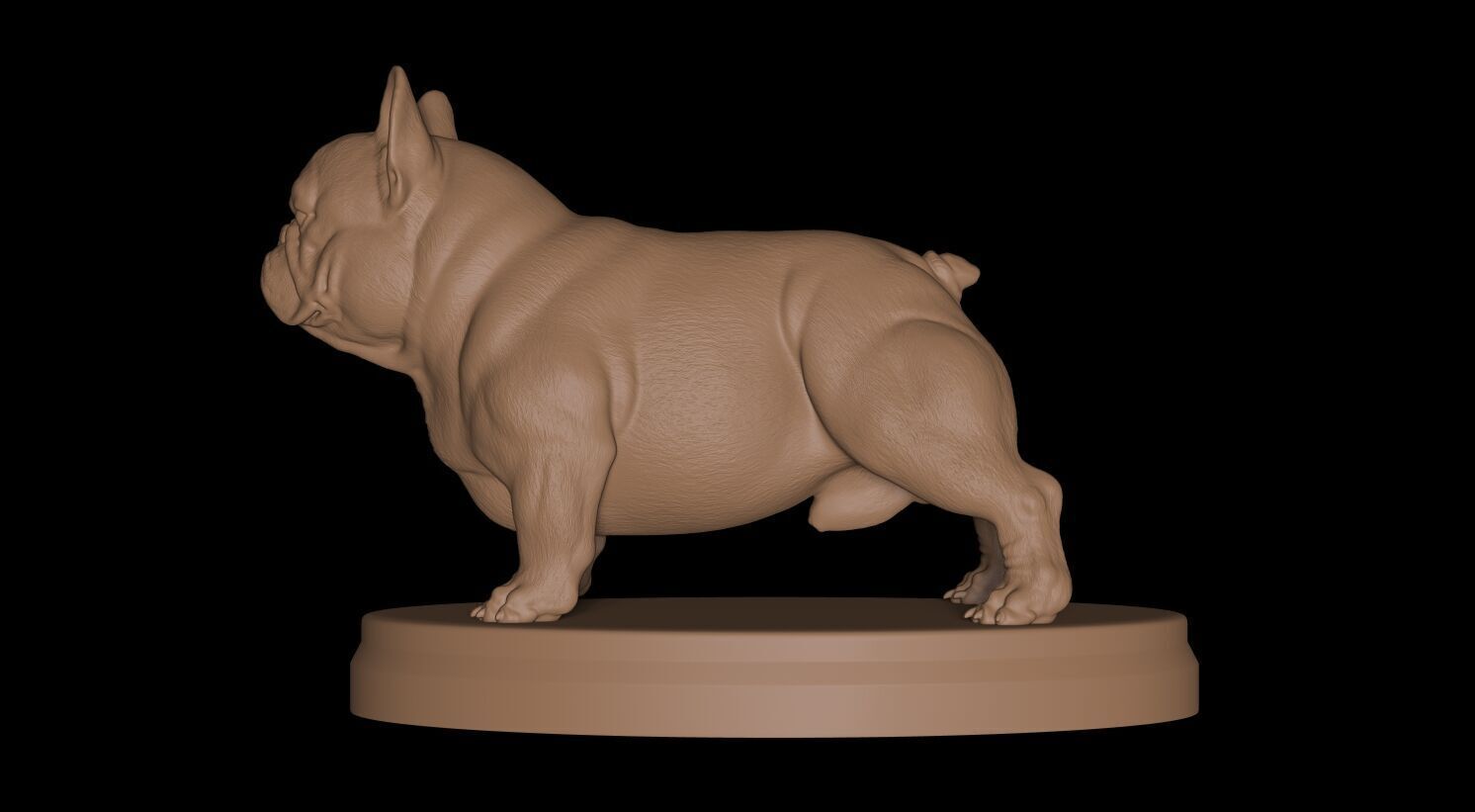 French Bulldog Exotic 3D print model_7