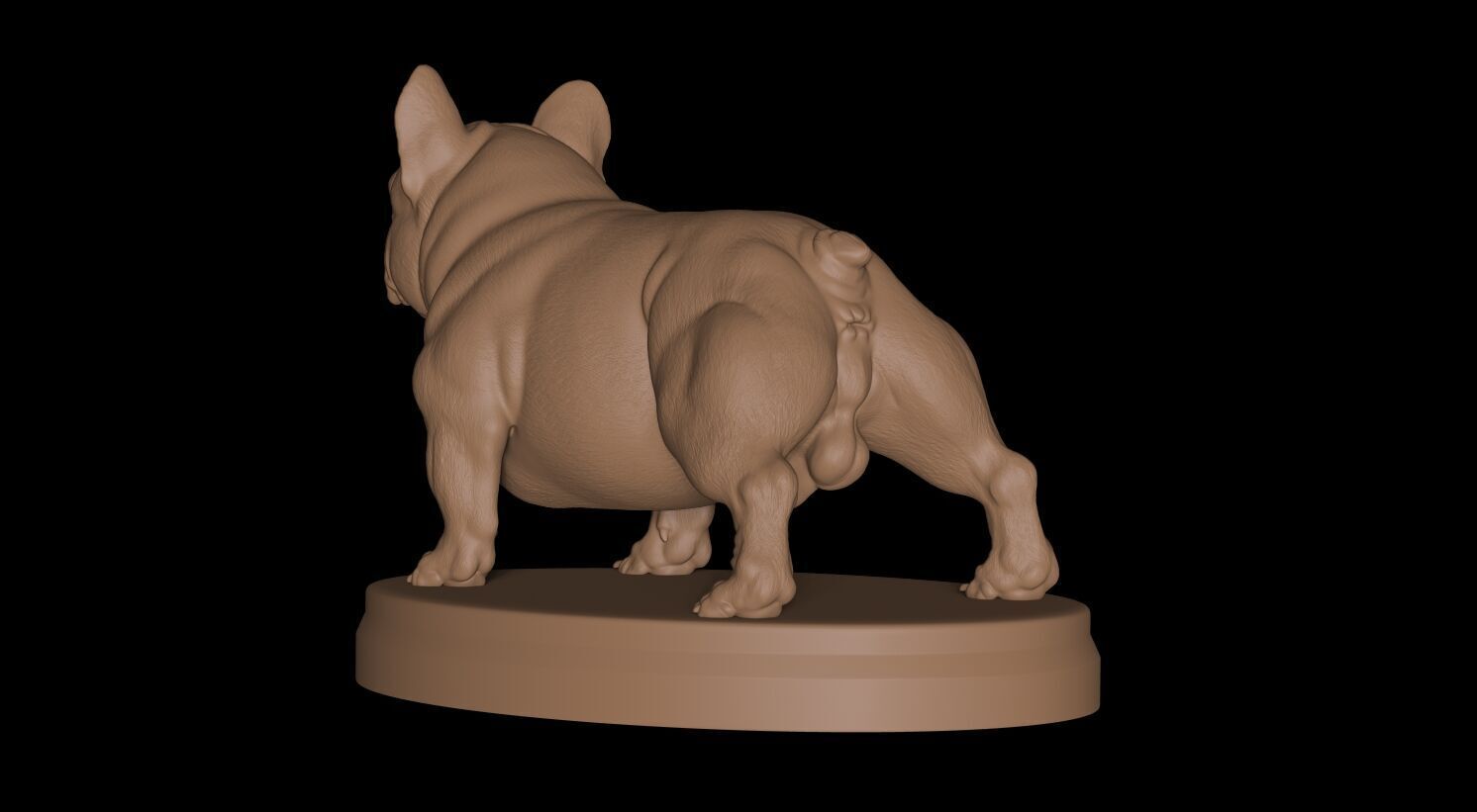 French Bulldog Exotic 3D print model_6